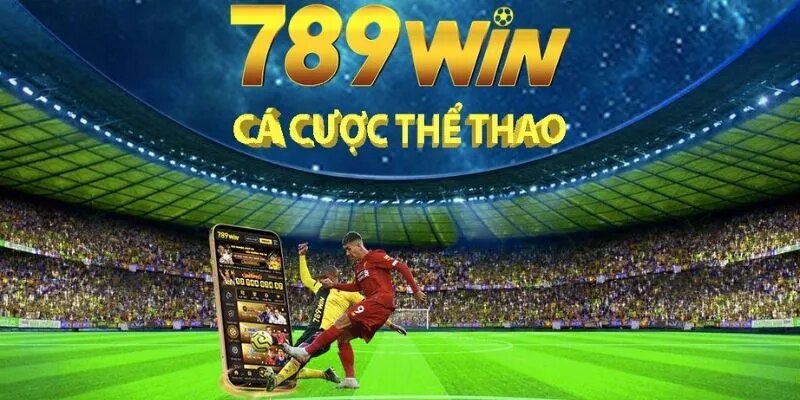 Cần lưu ý khi khi cược thể thao 789win hay không?